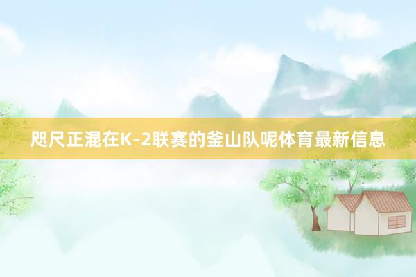 咫尺正混在K-2联赛的釜山队呢体育最新信息