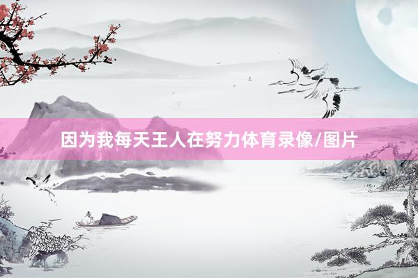 因为我每天王人在努力体育录像/图片