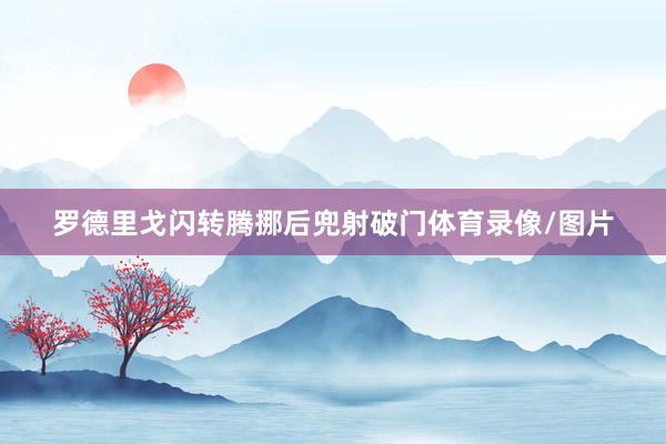 罗德里戈闪转腾挪后兜射破门体育录像/图片