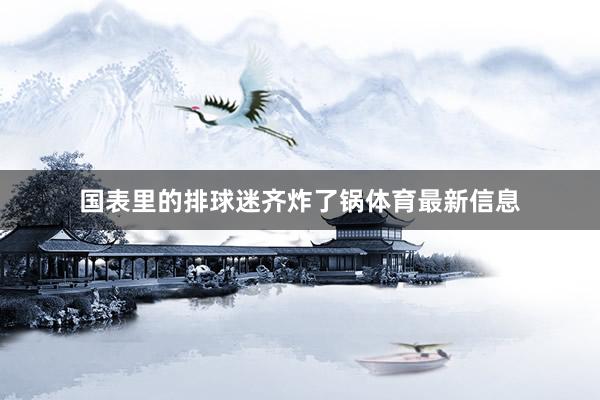 国表里的排球迷齐炸了锅体育最新信息