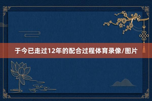 于今已走过12年的配合过程体育录像/图片