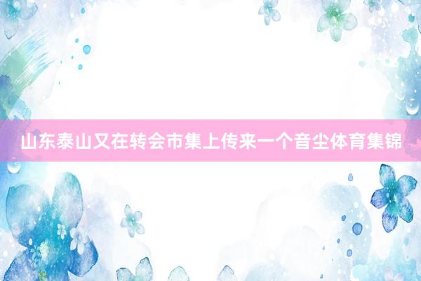 山东泰山又在转会市集上传来一个音尘体育集锦