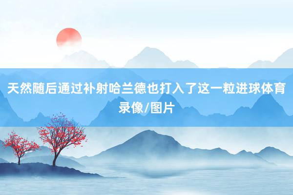 天然随后通过补射哈兰德也打入了这一粒进球体育录像/图片