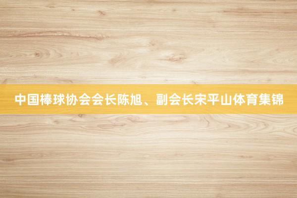 中国棒球协会会长陈旭、副会长宋平山体育集锦