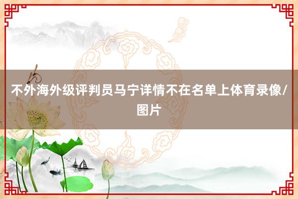 不外海外级评判员马宁详情不在名单上体育录像/图片