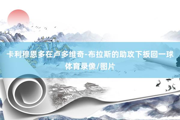 卡利穆恩多在卢多维奇-布拉斯的助攻下扳回一球体育录像/图片