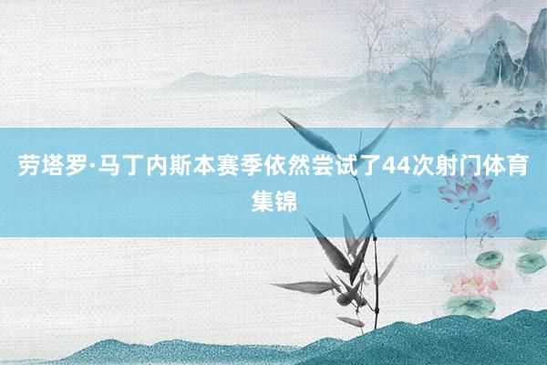 劳塔罗·马丁内斯本赛季依然尝试了44次射门体育集锦