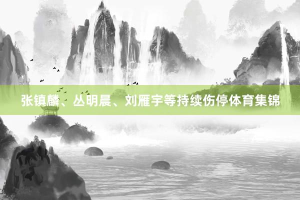 张镇麟、丛明晨、刘雁宇等持续伤停体育集锦