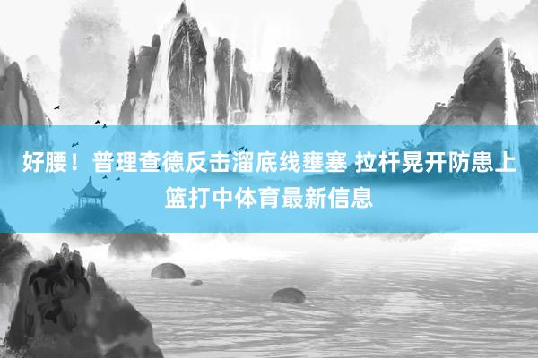 好腰！普理查德反击溜底线壅塞 拉杆晃开防患上篮打中体育最新信息