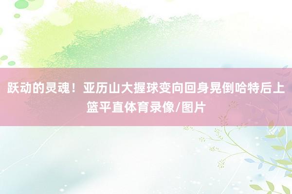 跃动的灵魂！亚历山大握球变向回身晃倒哈特后上篮平直体育录像/图片