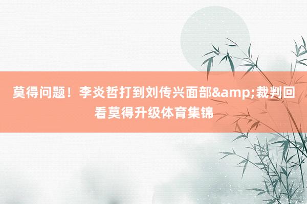 莫得问题！李炎哲打到刘传兴面部&裁判回看莫得升级体育集锦