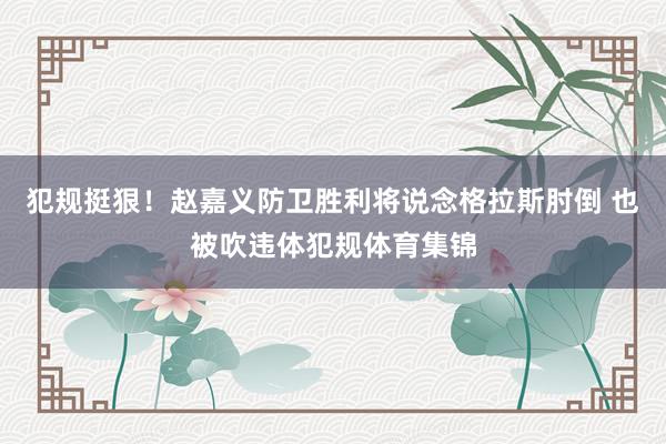 犯规挺狠！赵嘉义防卫胜利将说念格拉斯肘倒 也被吹违体犯规体育集锦