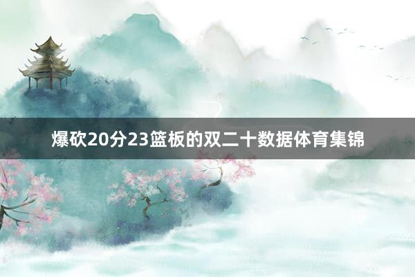 爆砍20分23篮板的双二十数据体育集锦