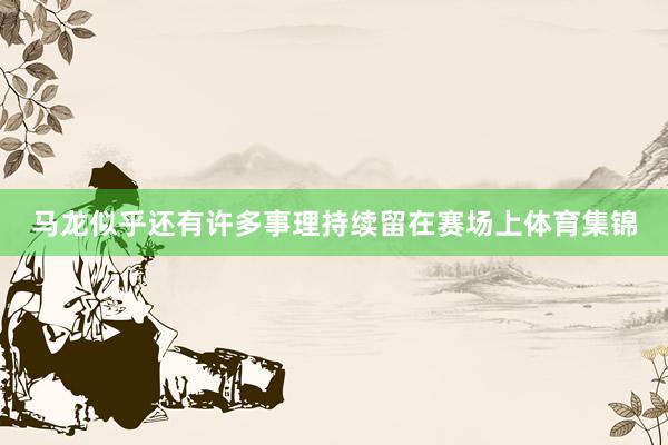 马龙似乎还有许多事理持续留在赛场上体育集锦