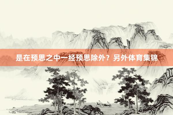 是在预思之中一经预思除外？另外体育集锦