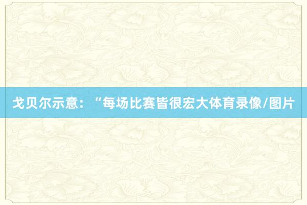 戈贝尔示意：“每场比赛皆很宏大体育录像/图片