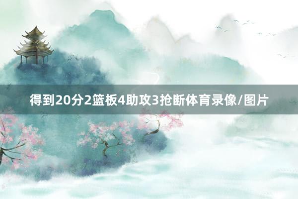 得到20分2篮板4助攻3抢断体育录像/图片