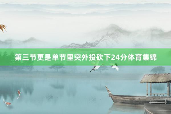 第三节更是单节里突外投砍下24分体育集锦