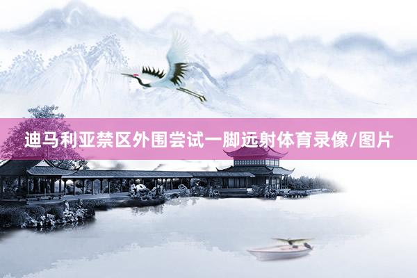 迪马利亚禁区外围尝试一脚远射体育录像/图片