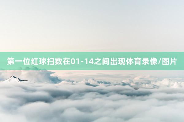 第一位红球扫数在01-14之间出现体育录像/图片