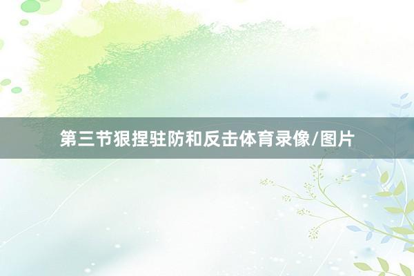 第三节狠捏驻防和反击体育录像/图片