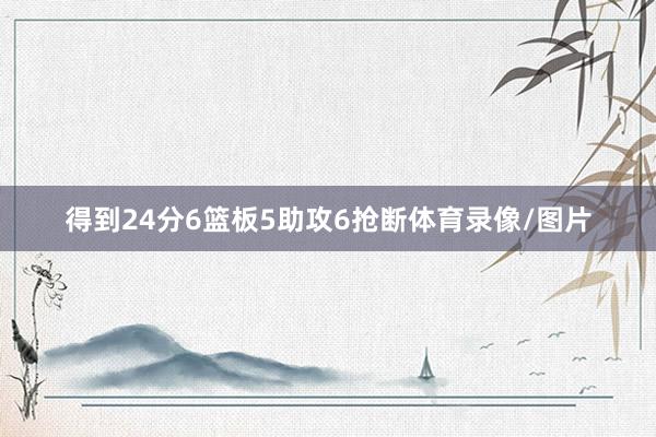 得到24分6篮板5助攻6抢断体育录像/图片