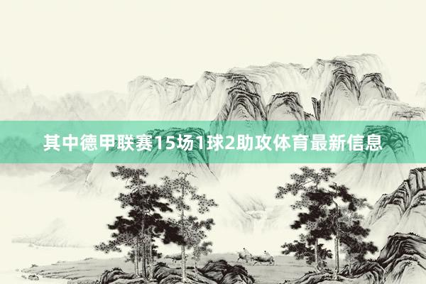 其中德甲联赛15场1球2助攻体育最新信息