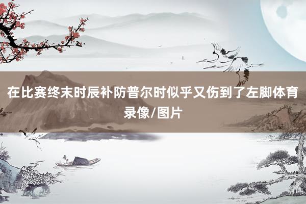 在比赛终末时辰补防普尔时似乎又伤到了左脚体育录像/图片