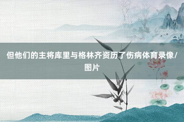 但他们的主将库里与格林齐资历了伤病体育录像/图片