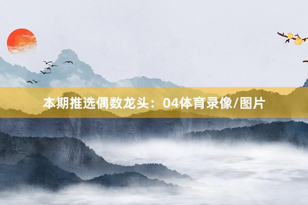 本期推选偶数龙头：04体育录像/图片