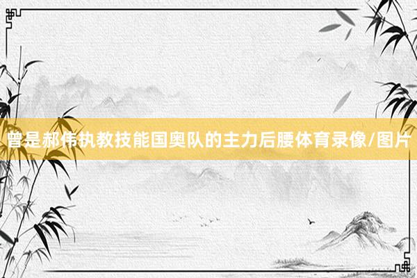 曾是郝伟执教技能国奥队的主力后腰体育录像/图片