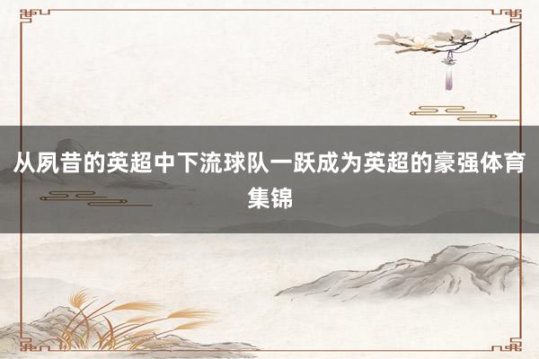 从夙昔的英超中下流球队一跃成为英超的豪强体育集锦