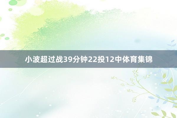 小波超过战39分钟22投12中体育集锦