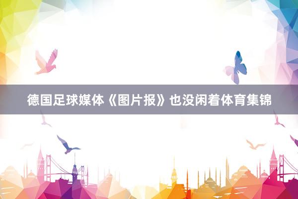 德国足球媒体《图片报》也没闲着体育集锦