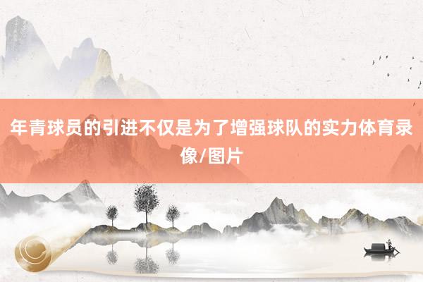 年青球员的引进不仅是为了增强球队的实力体育录像/图片