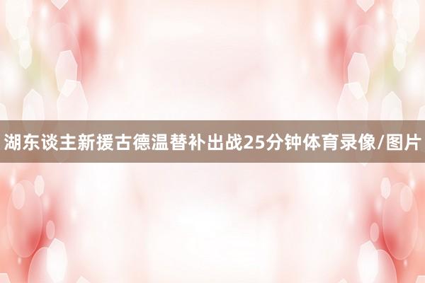 湖东谈主新援古德温替补出战25分钟体育录像/图片