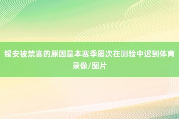 锡安被禁赛的原因是本赛季屡次在测验中迟到体育录像/图片