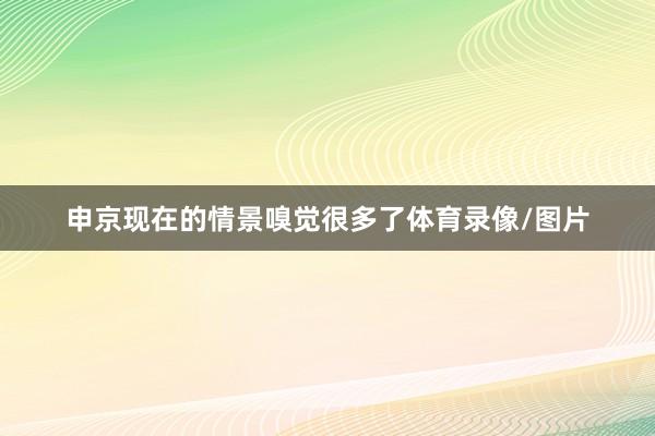 申京现在的情景嗅觉很多了体育录像/图片