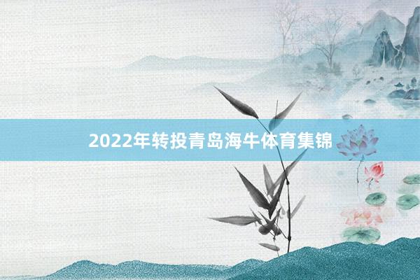 2022年转投青岛海牛体育集锦