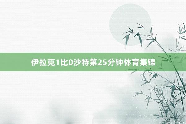 伊拉克1比0沙特第25分钟体育集锦