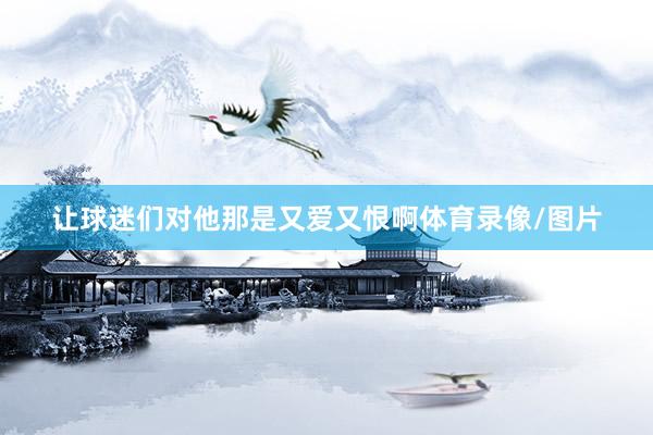 让球迷们对他那是又爱又恨啊体育录像/图片