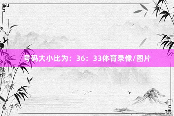 号码大小比为：36：33体育录像/图片