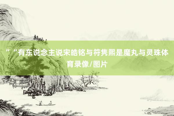 ”“有东说念主说宋皓铭与符隽熙是魔丸与灵珠体育录像/图片