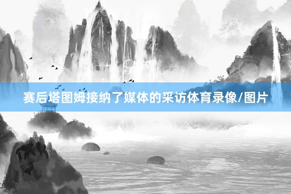赛后塔图姆接纳了媒体的采访体育录像/图片