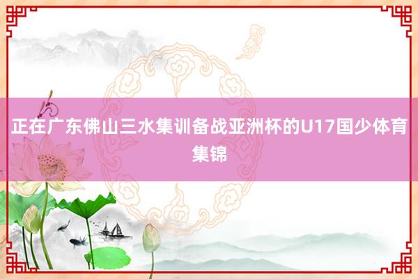 正在广东佛山三水集训备战亚洲杯的U17国少体育集锦