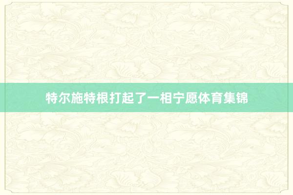 特尔施特根打起了一相宁愿体育集锦