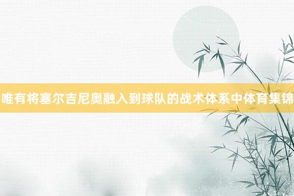 唯有将塞尔吉尼奥融入到球队的战术体系中体育集锦