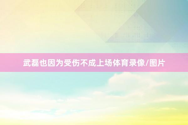武磊也因为受伤不成上场体育录像/图片