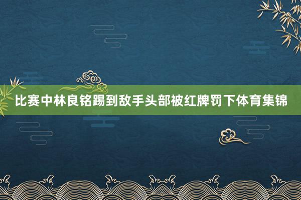 比赛中林良铭踢到敌手头部被红牌罚下体育集锦
