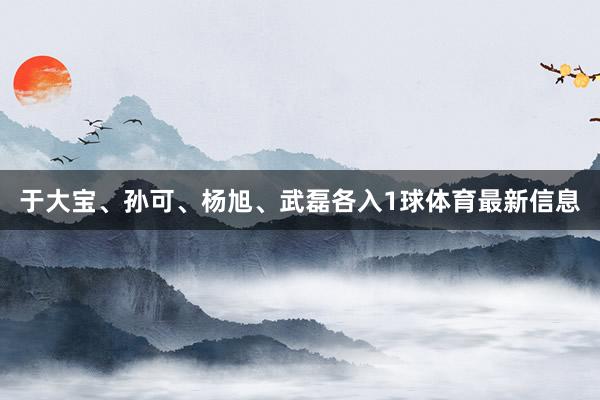 于大宝、孙可、杨旭、武磊各入1球体育最新信息